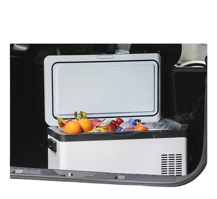 30 Liter 12V 240V Portable Cam - đánh giá và giá Outdoor Camping Fridge