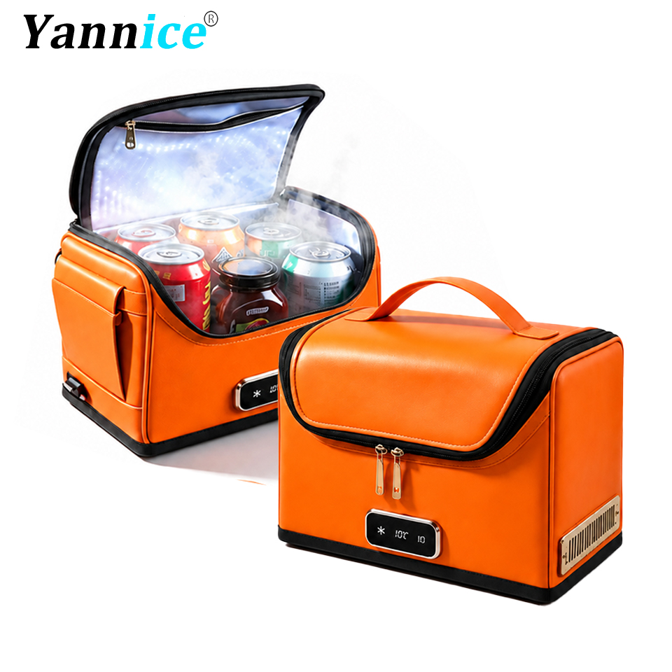 4L Car Refrigerator Mini Coole - đánh giá và giá Outdoor Camping Fridge