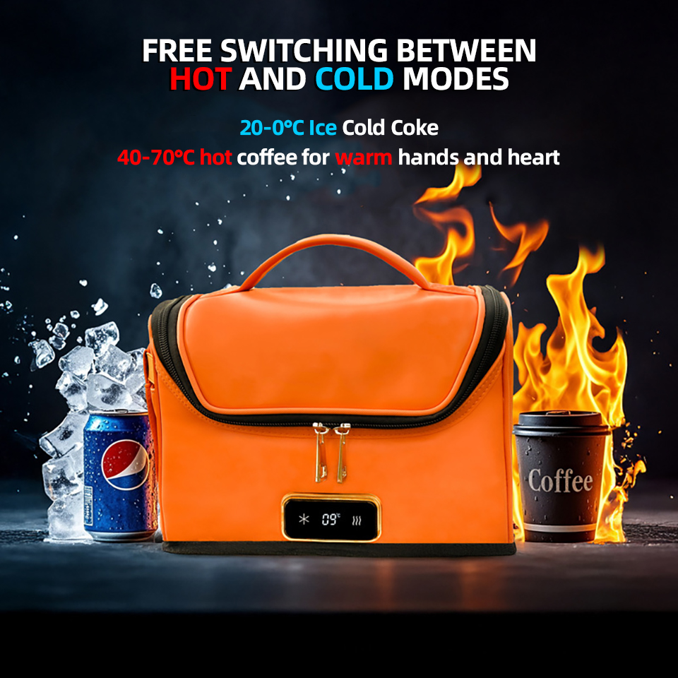 4L Car Refrigerator Mini Coole - đánh giá và giá Outdoor Camping Fridge