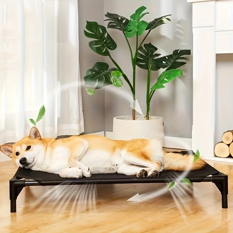Cooling Elevated Dog Bed - Rai - đánh giá và giá Outdoor Camping Couch
