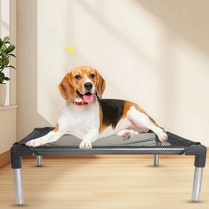 Cooling Elevated Dog Bed - Rai - đánh giá và giá Outdoor Camping Couch