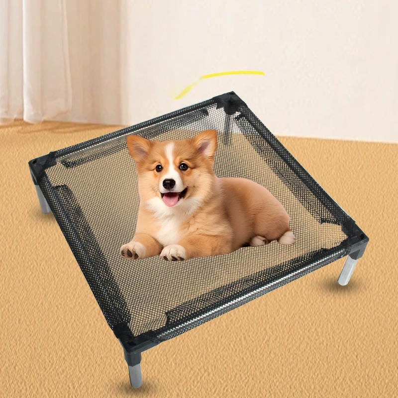 Cooling Elevated Dog Bed - Rai - đánh giá và giá Outdoor Camping Couch